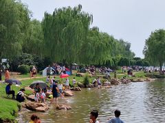 -丁香湖公园