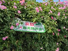 -南京国际青年文化中心