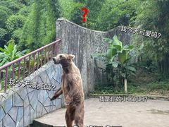 -贵州森林野生动物园