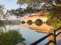 -大湾区中央湿地公园