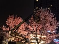 -首开·龙湖成都西宸天街