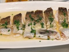 小葱油盐蒸白水鱼（按斤销售）-西湖春天•老字号杭州菜(百汇店)