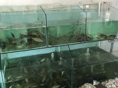 -蚝乡农庄(铁涌赤岸店)