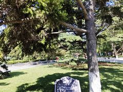 -青岛德国总督楼旧址博物馆