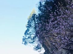 -少华山国家森林公园
