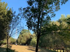 -长白岛森林公园