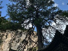 -藏山旅游风景区