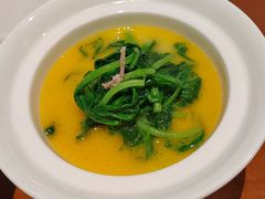 -觀芷隐轩