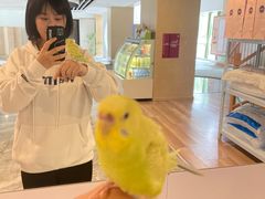 -乐山上善居·养心禅景酒店(世豪广场高铁站店)