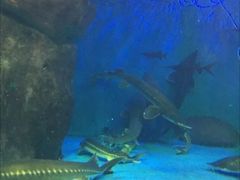 -多彩贵州城极地海洋世界