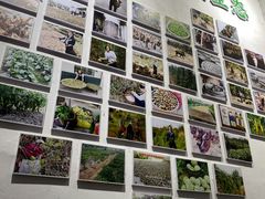 -渔舟意·湖南家宴(萝岗纳金城店)