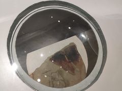 -辽宁古生物博物馆