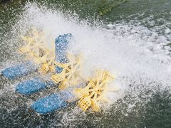 -滨湖塘西河公园