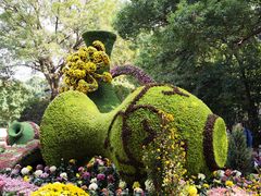 -杭州植物园