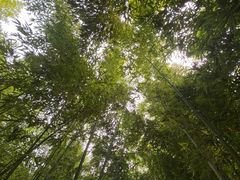 -河北霸州茗汤日月潭温泉