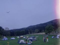 -武陵山森林公园