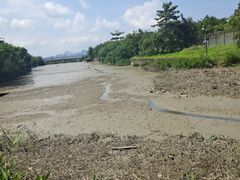 -福田红树林生态公园