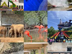 -石家庄市动物园