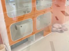 -三花喵·撸猫购宠·宠物生活馆(虹桥南丰城店)