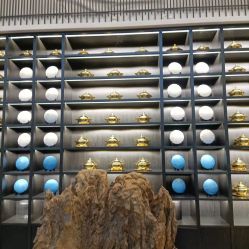 -真知味酒店·宴会厅(月牙湖店)