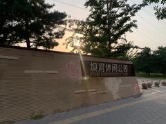-坝河休闲公园