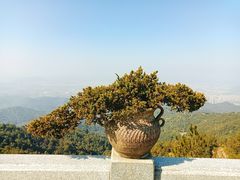 -梅州天地人花园酒店(梅县人民广场店)