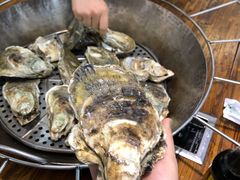 -飞尝蚝·顺德菜·鱼生(顺德总店)