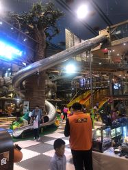 -卡通尼·Safari非洲探索乐园·生日会(金桥国际商业广场店)