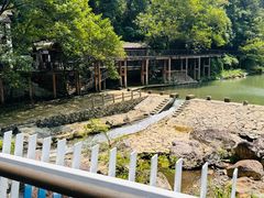 -泽雅七瀑涧景区