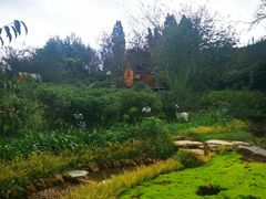 -名花谷生态庄园