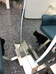 -飞梵造型