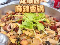 -龙顺园麻辣香锅(机场店)