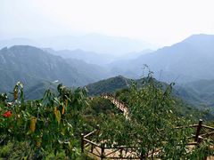 -大岭沟猕猴桃谷风景区