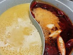 -青瓷火锅料理(西单大悦城店)