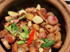 啫啫生肠-大榕树下顺德菜(融创茂店)