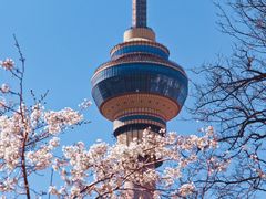 -中央广播电视塔