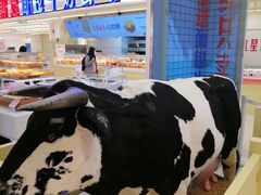 -红星前进面包牛奶公司(君太店)