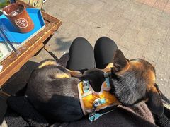 -茶是一枝花泡茶店