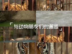 -南昌动物园