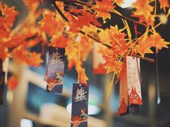 -当当梅溪书院(步步高梅溪新天地店)