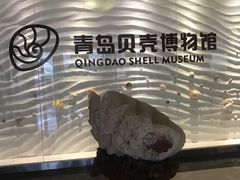 -青岛贝壳博物馆