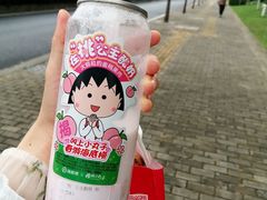 -海底捞火锅(新松江路生日主题店)