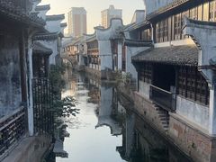 -真真老老(月河花鸟市场店)