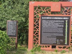 -元大都城垣遗址公园