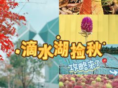 -春花秋色城市公园