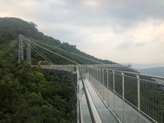 -呀诺达热带雨林