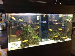 -大家乐(佛山普君店)
