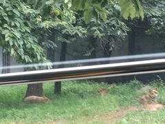 -西安秦岭野生动物园