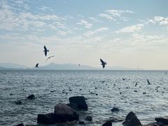 -深圳湾公园(南山区)