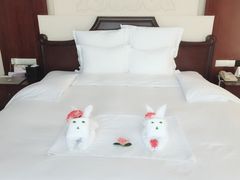 -三亚亚龙湾雅高铂尔曼别墅度假酒店